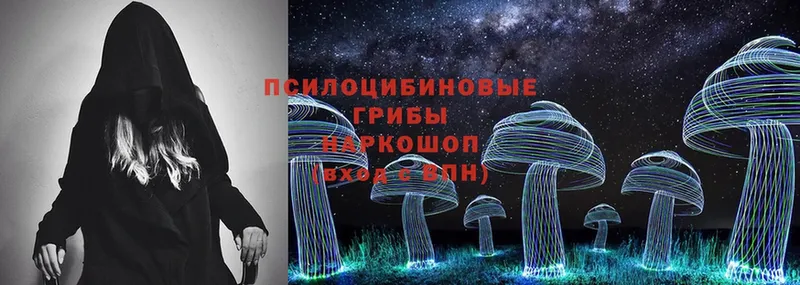 Галлюциногенные грибы Cubensis Челябинск